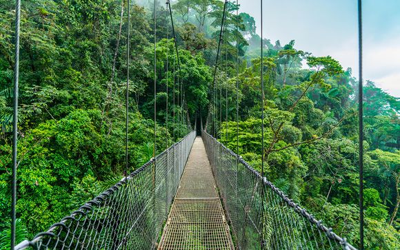 Mettez une option sur l