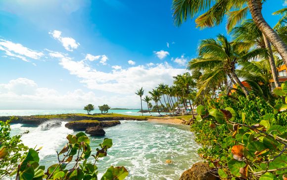 Zoom sur votre programme