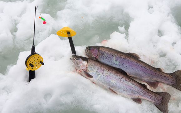 Mettez une option sur l