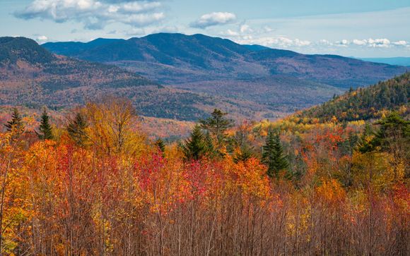 Zoom sur votre programme