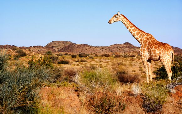 Je reisprogramma's vanuit de Kholiwe Kruger Lodge 4* 