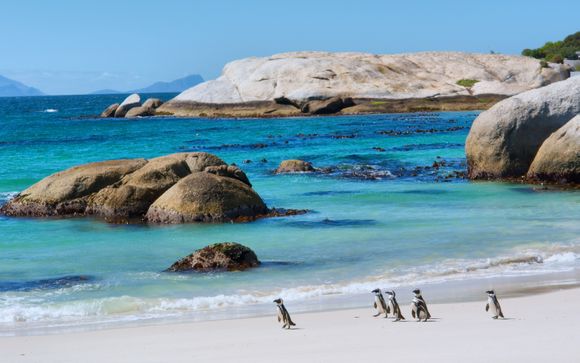 Je excursies vanuit het Old Bank 4* hotel