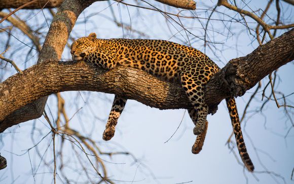 Beleef een uitzonderlijk avontuur in Zuid-Afrika!