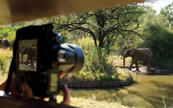 Safari van 7 nachten