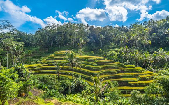 Welkom in ... Indonesië!