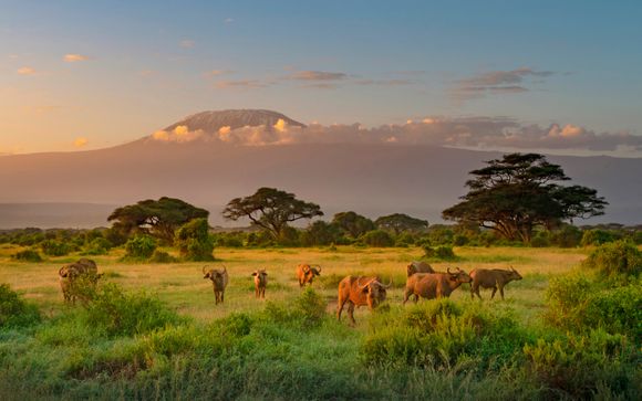 Welkom in... Kenia en Tanzania!