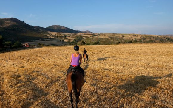 Mettez une option sur l