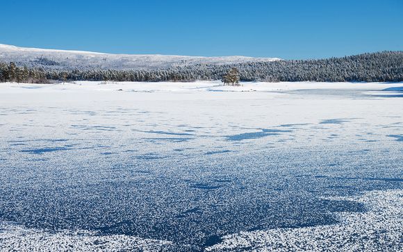 Welkom in... Lapland!