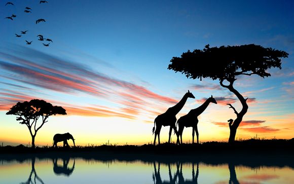 Nos petites astuces pour un séjour idéal