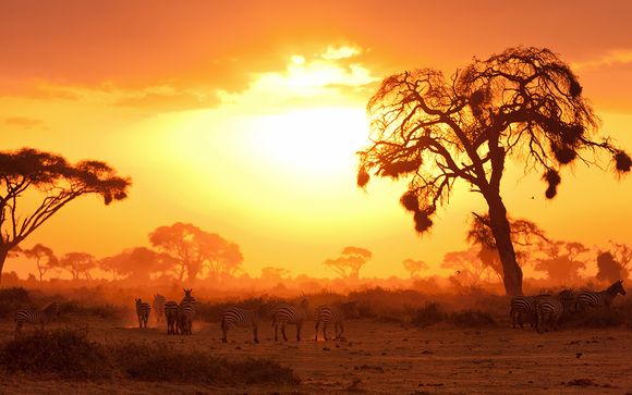 Zoom sur votre programme