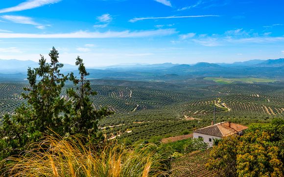 Welkom in... Baeza