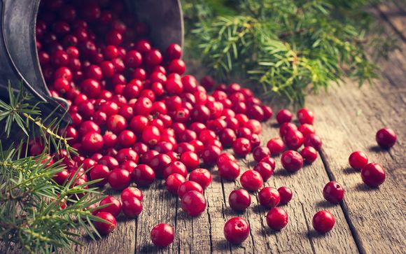 Nos petites astuces pour un séjour idéal