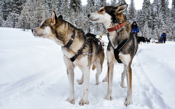 Votre excursion pour plus d