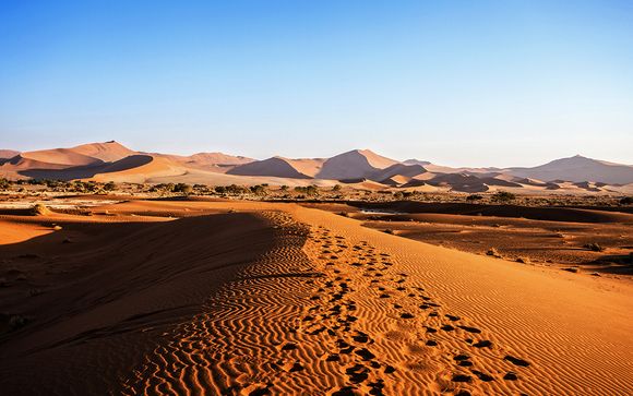 Rendez-vous... en Namibie