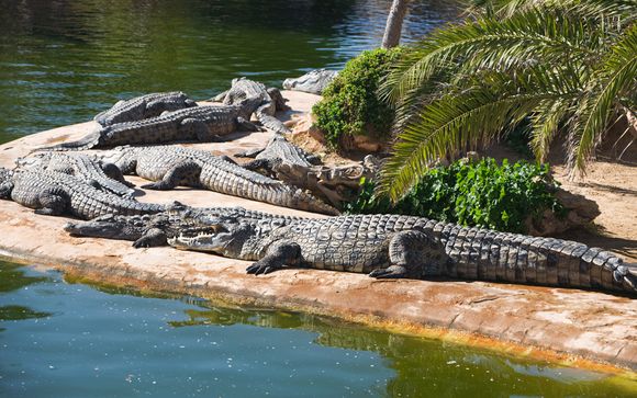 Et pour aller plus loin...