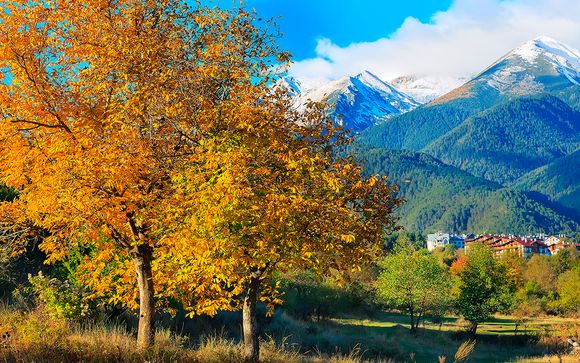 Et pour aller plus loin...