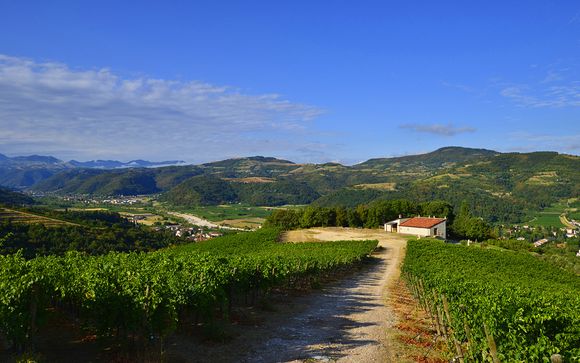 Welkom in... Valpolicella