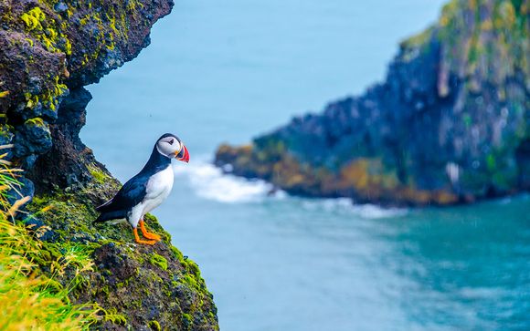 Mettez une option sur l