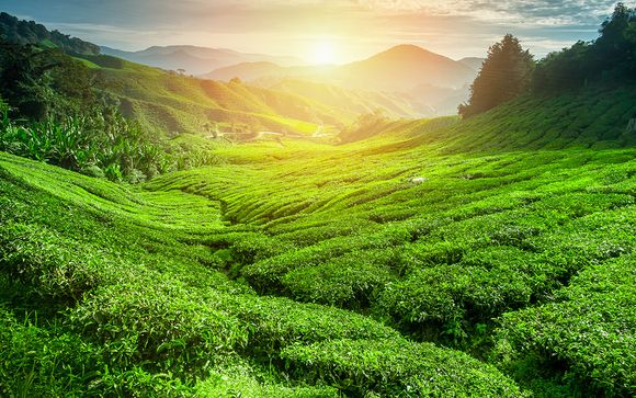 Votre circuit en un clin d'oeil