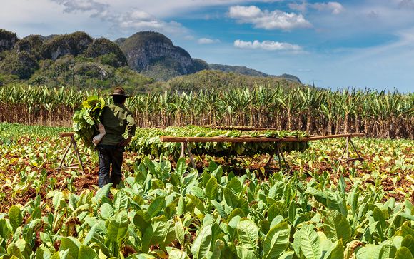 Mettez une option sur l’évasion