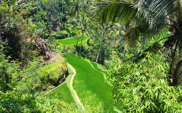 Et pour aller plus loin...