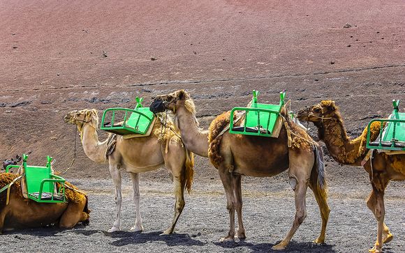 Mettez une option sur l'évasion