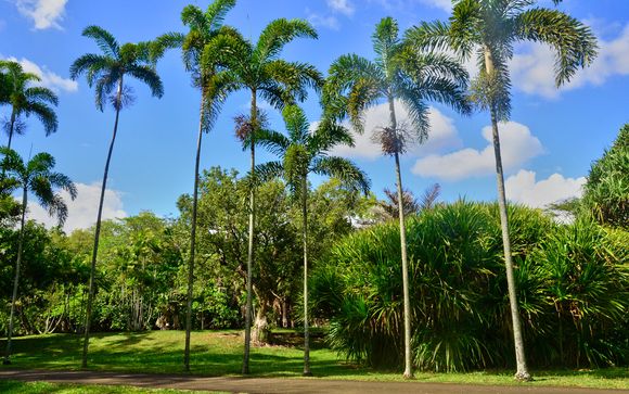 Et pour aller plus loin...