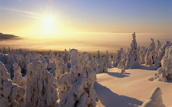 Rendez-vous... en Laponie