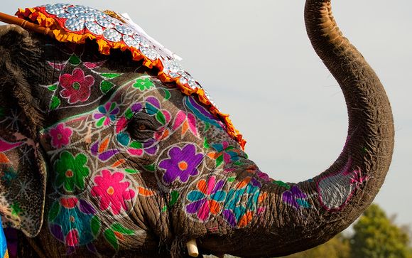 Welkom in ... India!