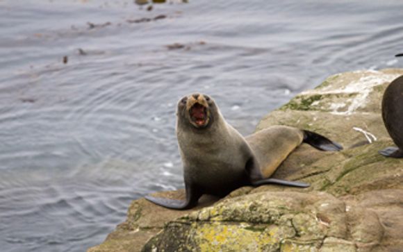 Mettez une option sur l