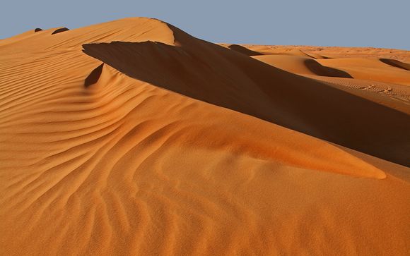 Vos excursions pour plus d