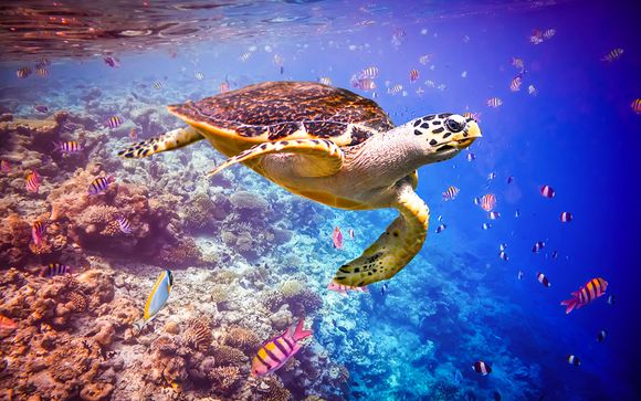 Et pour aller plus loin...