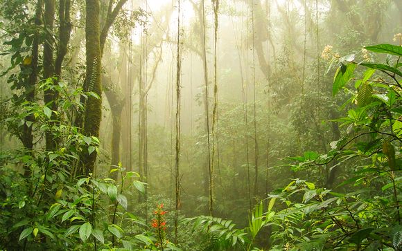 Zoom sur votre programme en 10 nuits