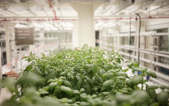 Poussez les portes de votre 4*