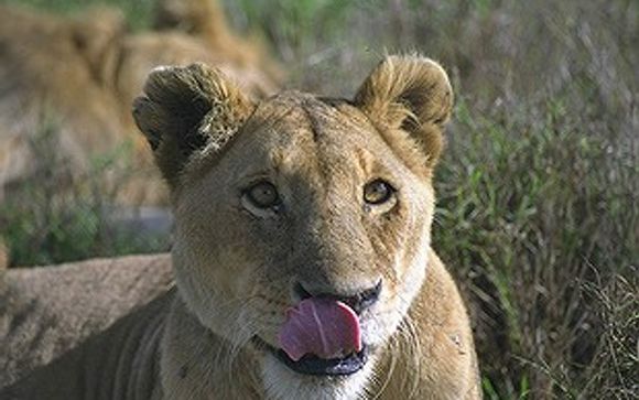 Nos petites astuces pour un séjour idéal