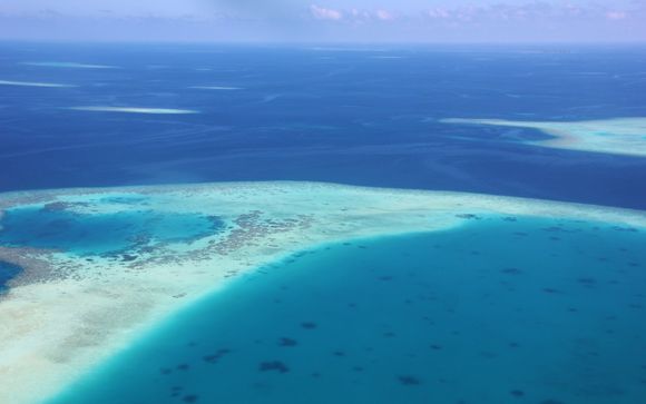 Zoom sur votre programme avec le Carpe Novo