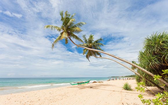 Zoom sur votre programme