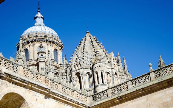 Zoom sur votre programme