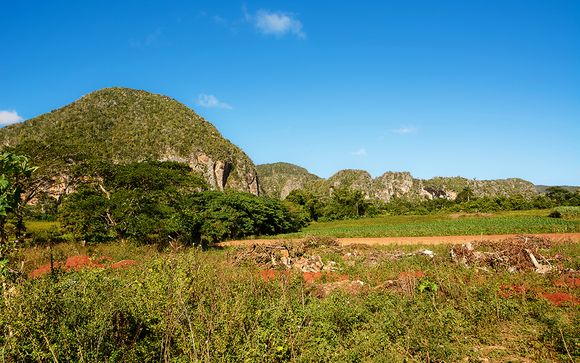 Mettez une option sur l