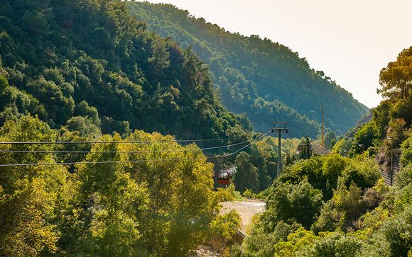 Zoom sur vos excursions