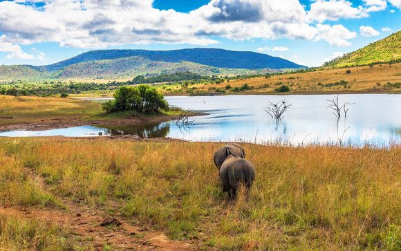 Rendez-vous... en Afrique du Sud et à l'Île Maurice
