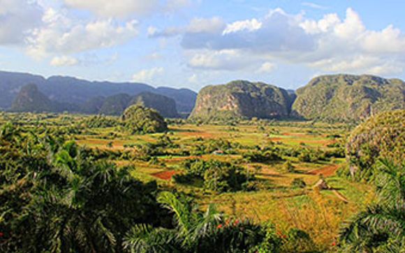 Mettez une option sur l’évasion