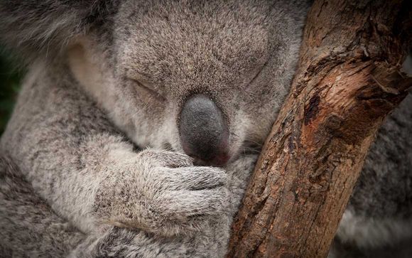 Mettez une option sur l’évasion