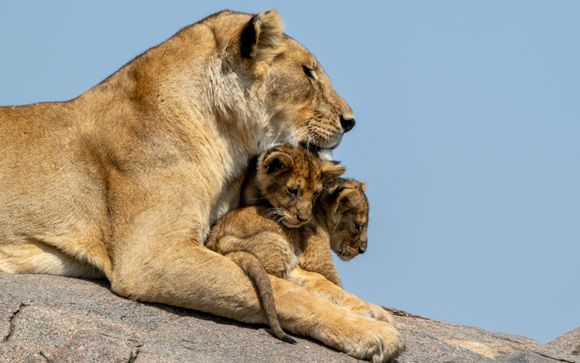 Ihre Safari im Detail