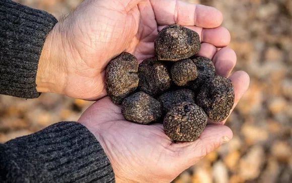 Mettez une option sur l