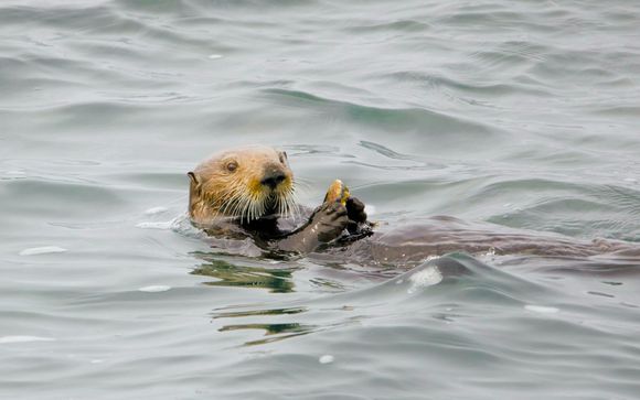 Ihre Rundreise im Detail