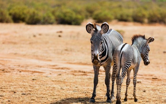Ihre Safari im Überblick