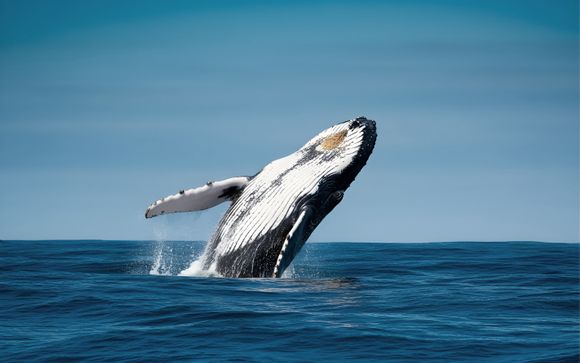 Willkommen in Mexiko!