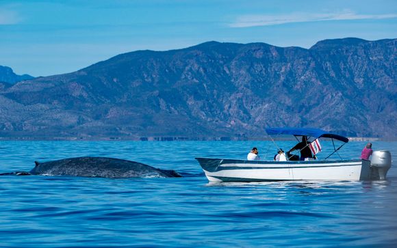 Ihre Rundreise im Detail