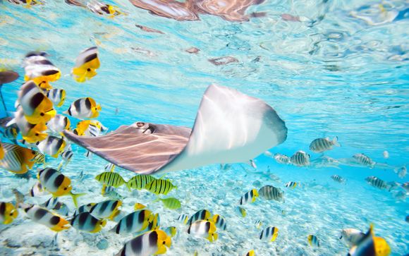 Ihre Reise im Überblick